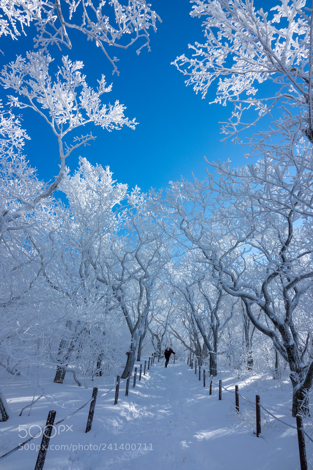 Sony Cyber-shot DSC-RX10 III sample photo. The snow-capped world photography