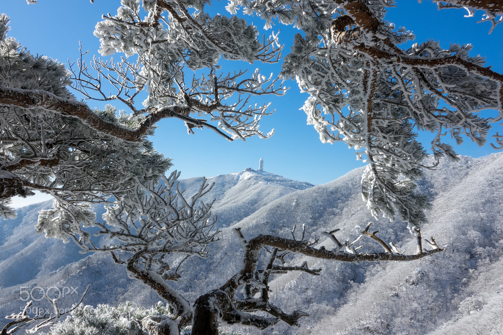 Sony Cyber-shot DSC-RX10 III sample photo. The snow-capped world photography