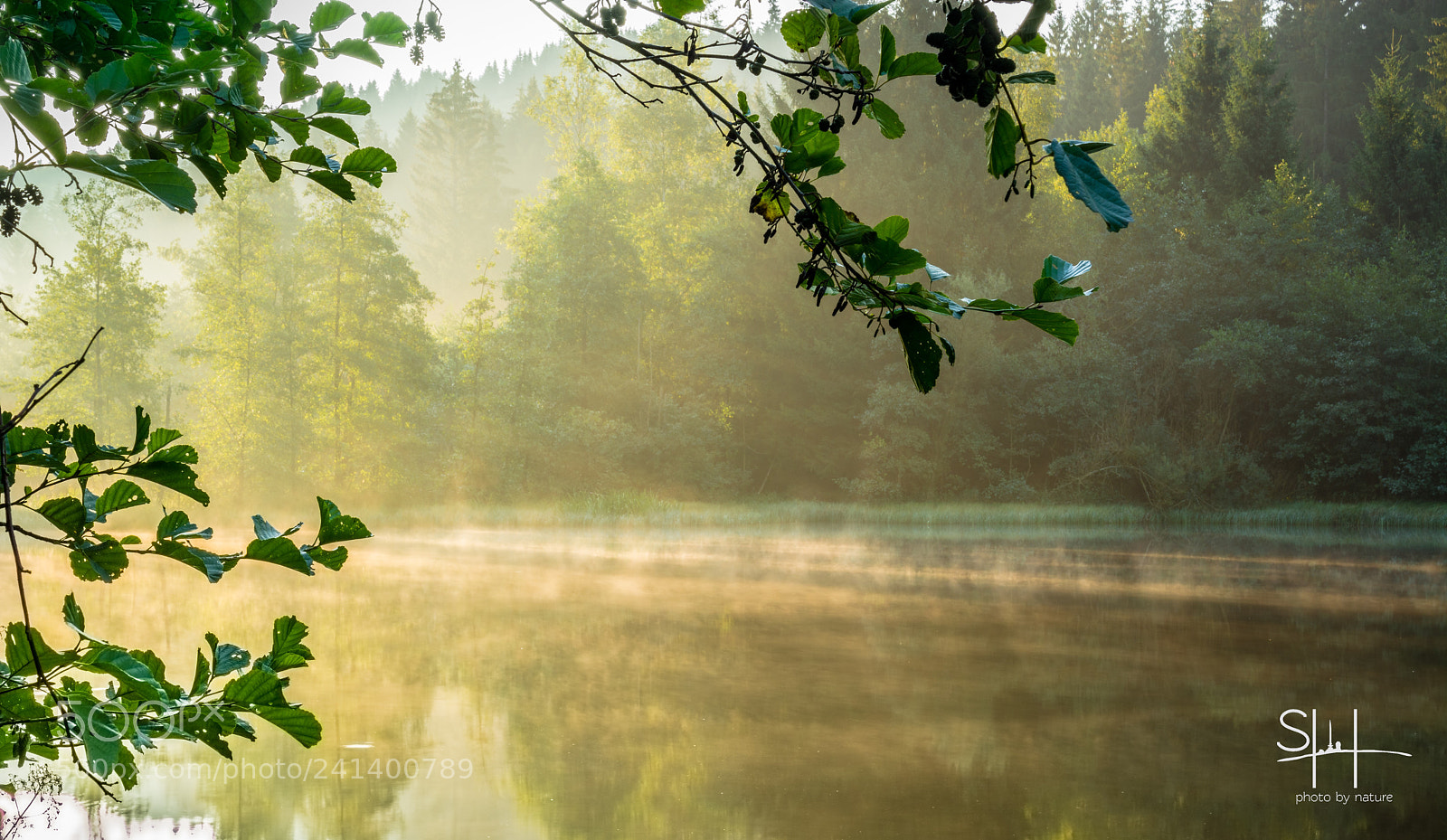 Nikon D7100 sample photo. Okervorstufe photography