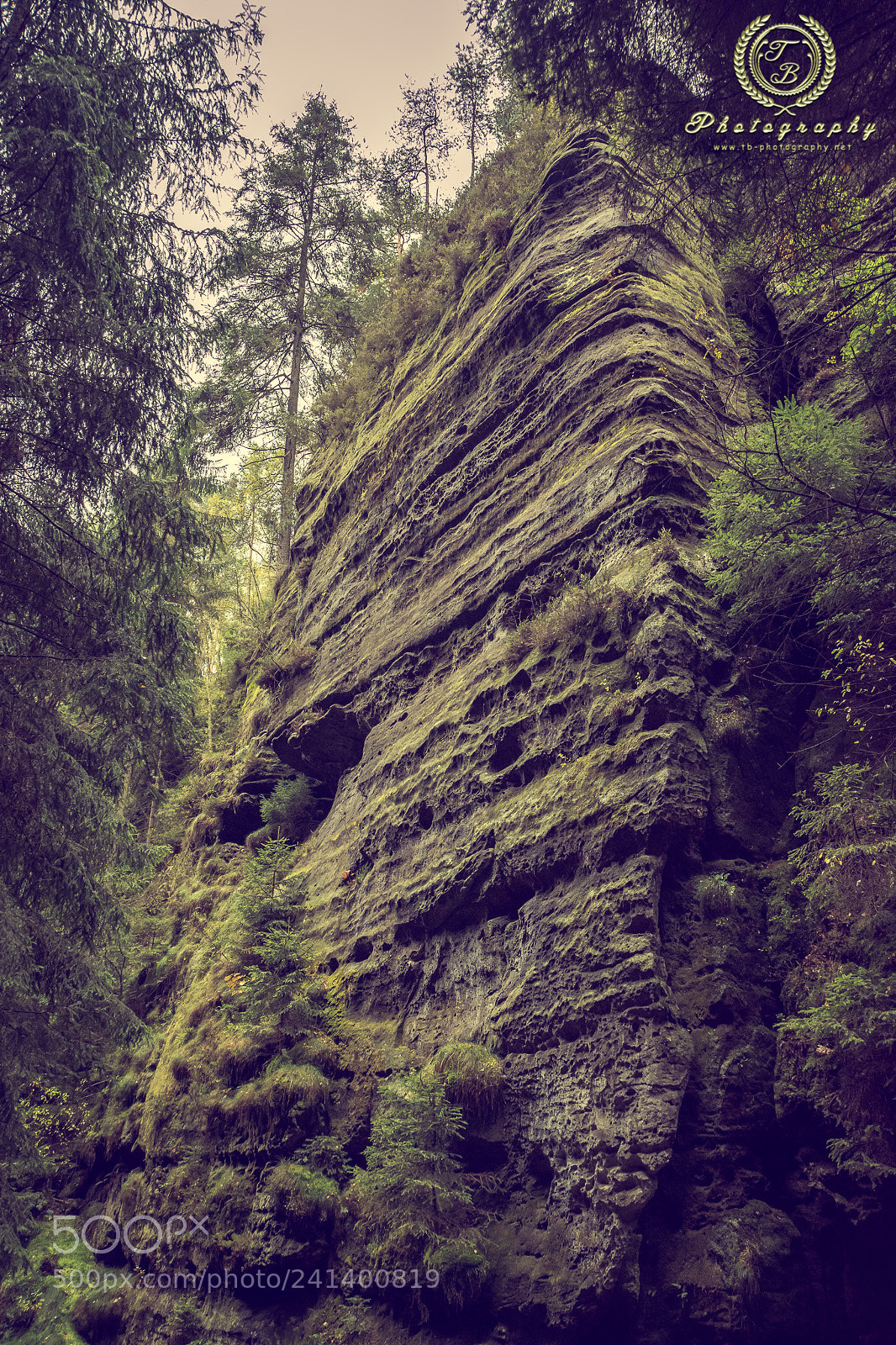 Nikon D7200 sample photo. Schwedenlöcher bastei photography