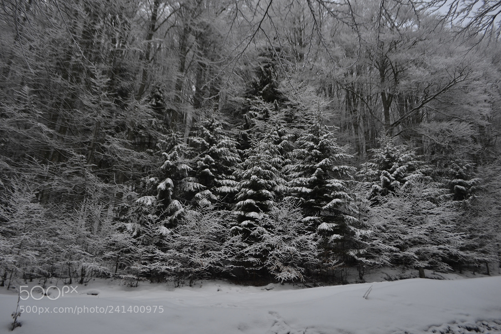 Nikon D3100 sample photo. Ghosts photography