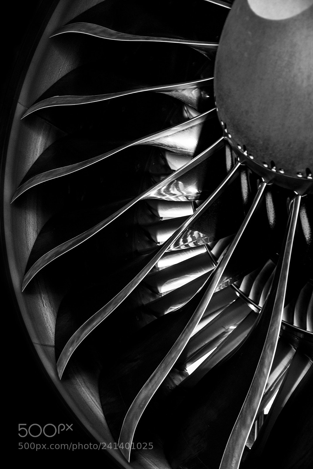 Nikon D800 sample photo. What am in? photography