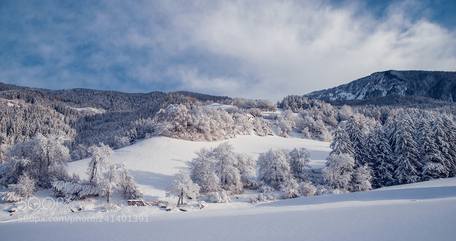 Pentax K-1 sample photo. Winterwonderland photography