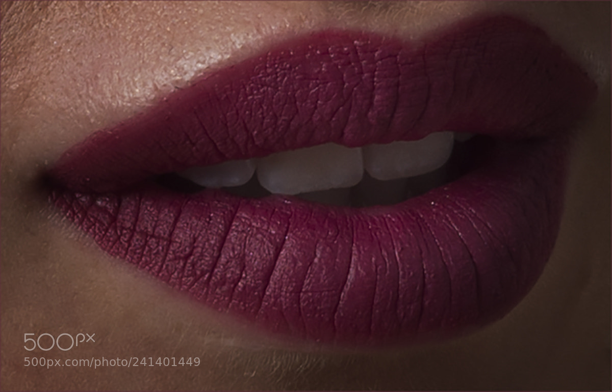 Nikon D800 sample photo. Into detail photography
