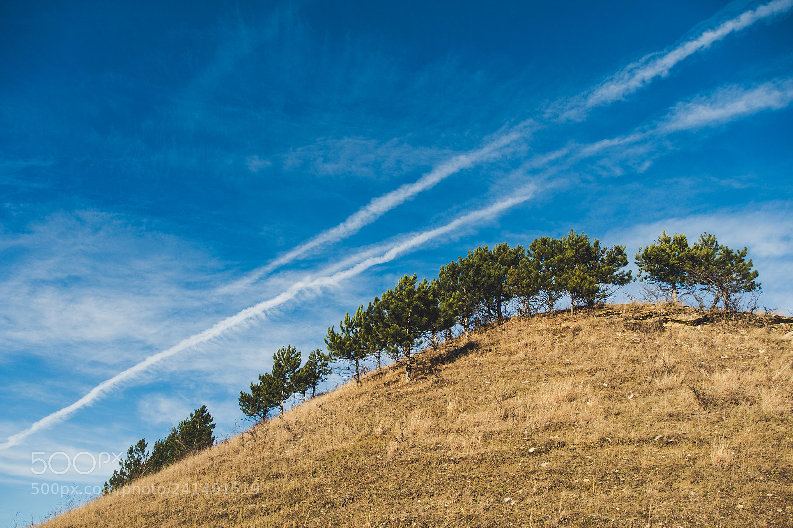 Fujifilm X-Pro1 sample photo. The hill photography