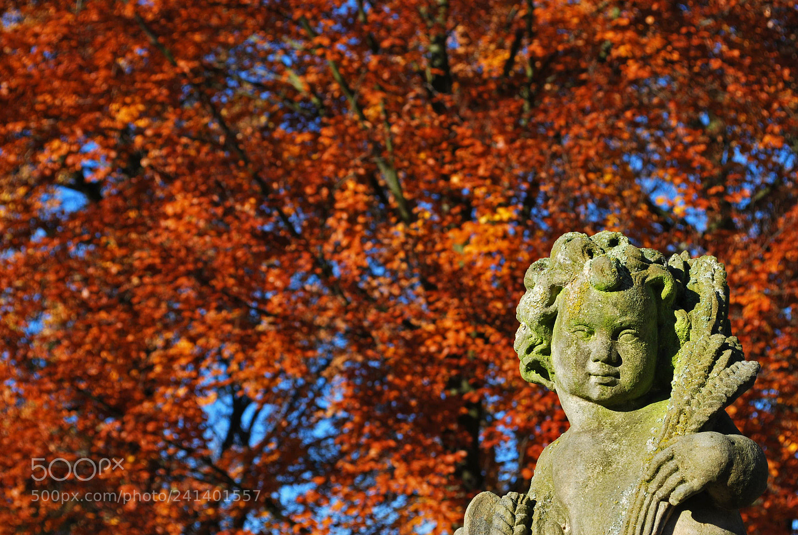 Nikon D60 sample photo. The little angel in photography