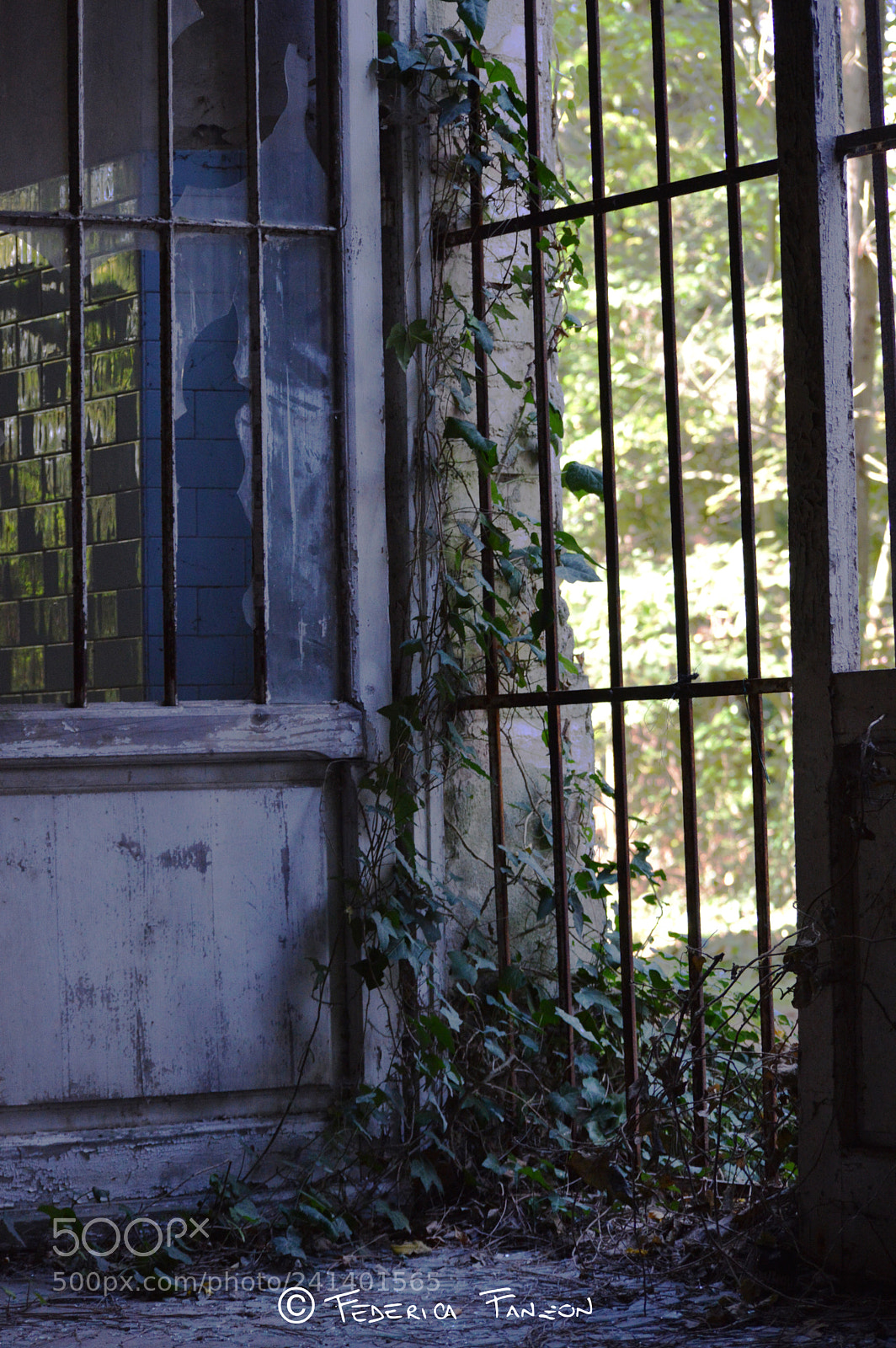 Nikon D3200 sample photo. Autophobia photography
