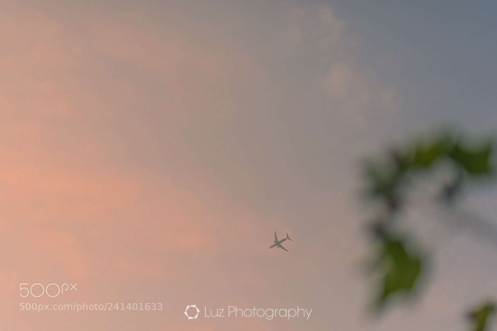 Nikon D810 sample photo. Fly to the sun photography
