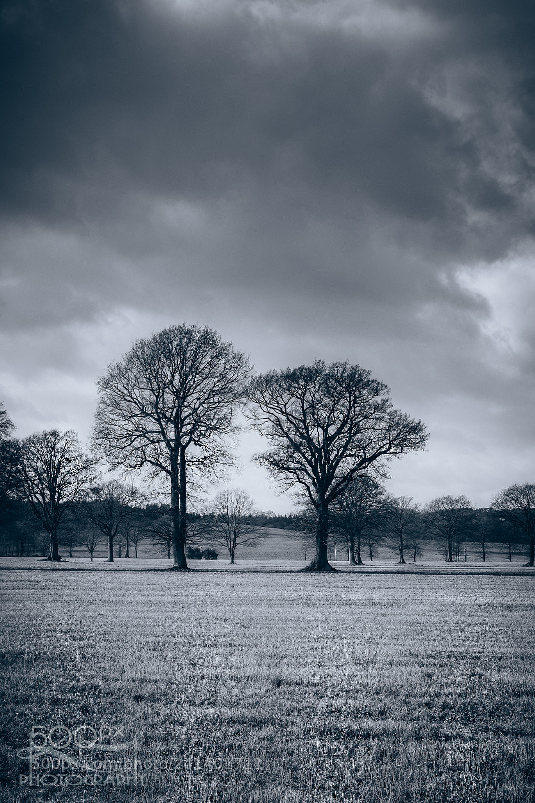 Nikon D810 sample photo. History photography