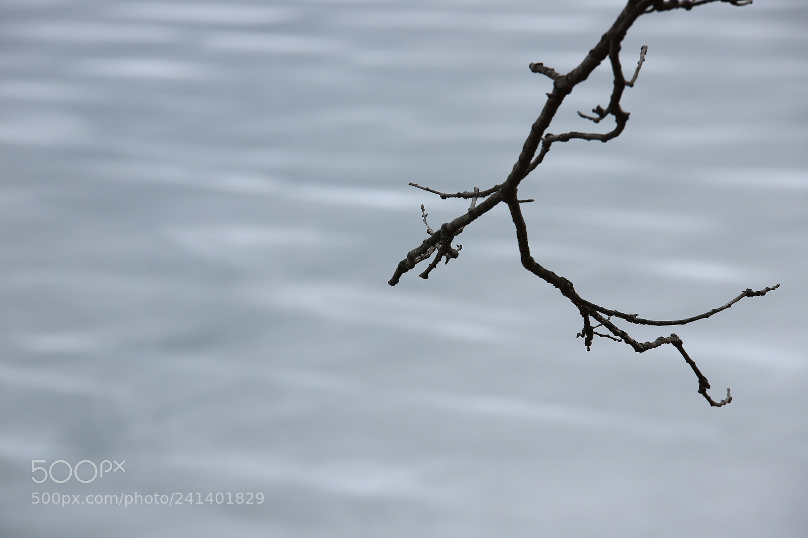 Canon EOS 6D Mark II sample photo. Struggle photography