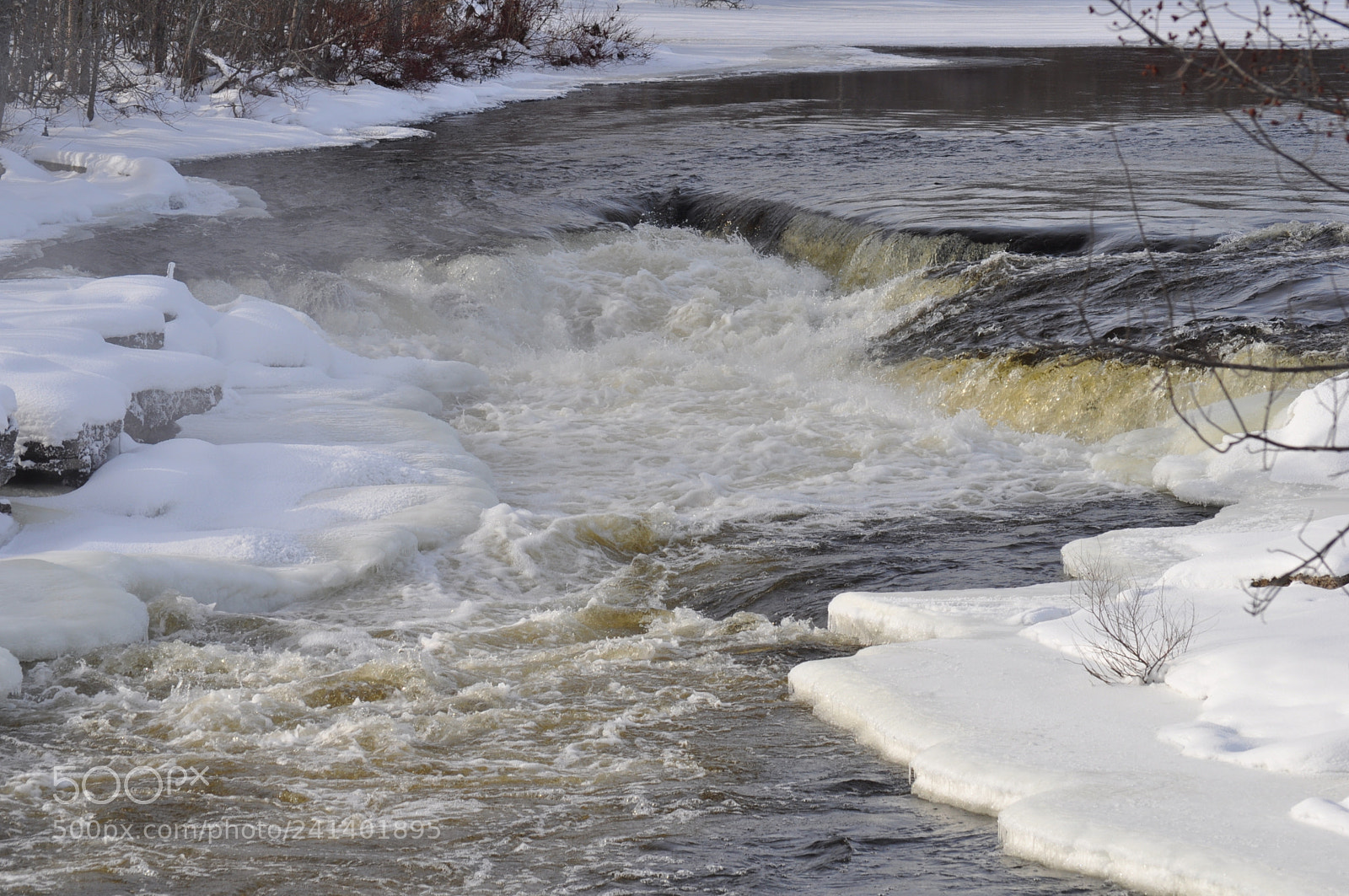 Nikon D5000 sample photo. Baby it's cold outside! photography