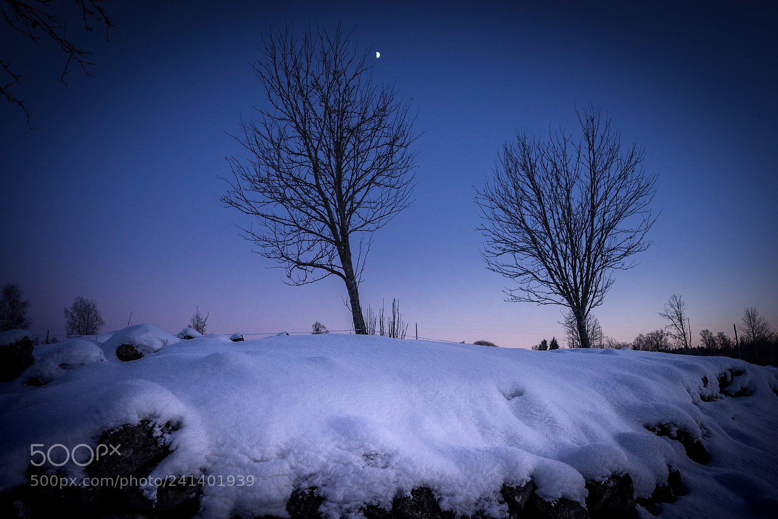 Sony a7R sample photo. Winter picture photography