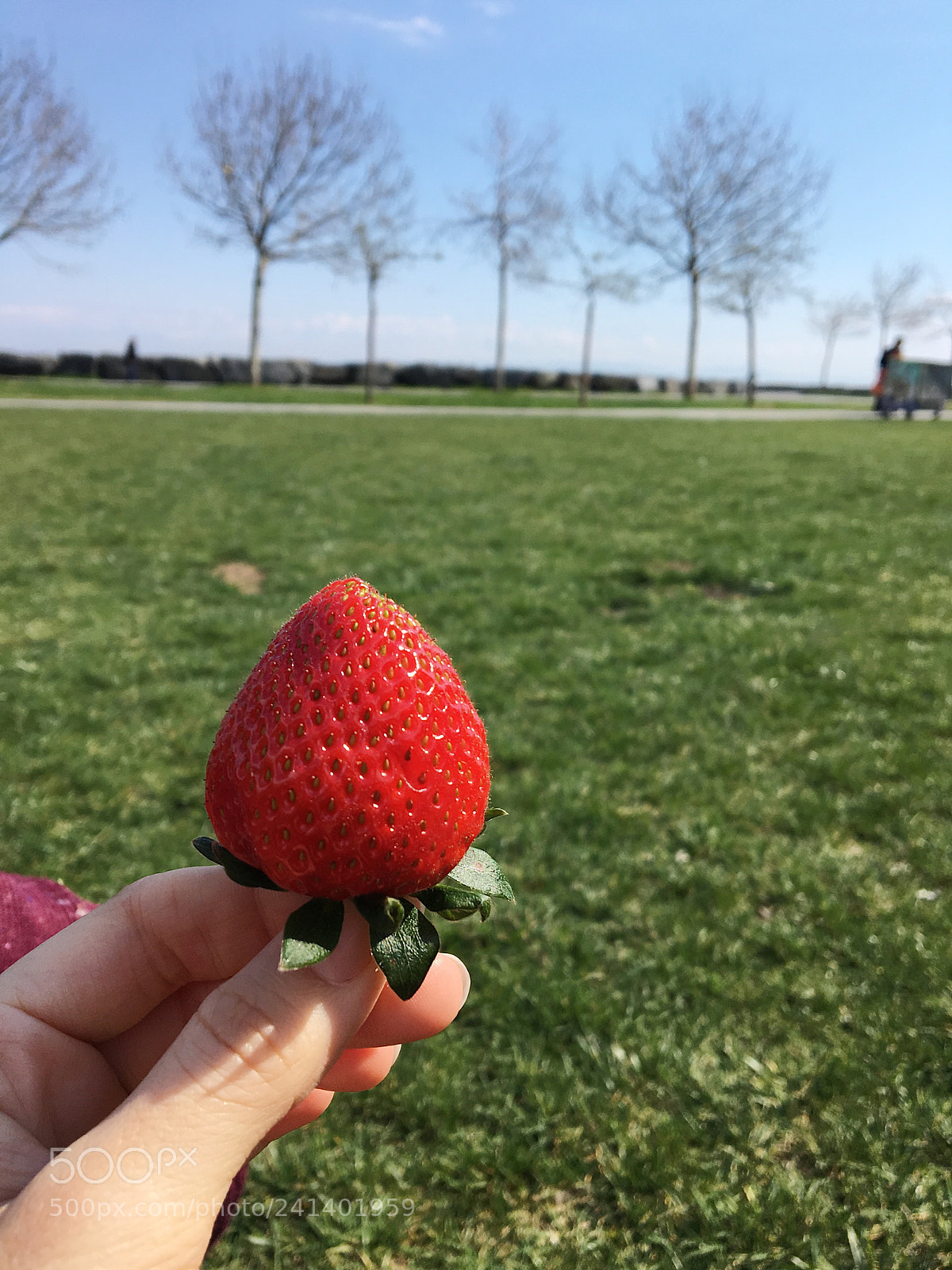 Apple iPhone 6s sample photo. Untitled photography