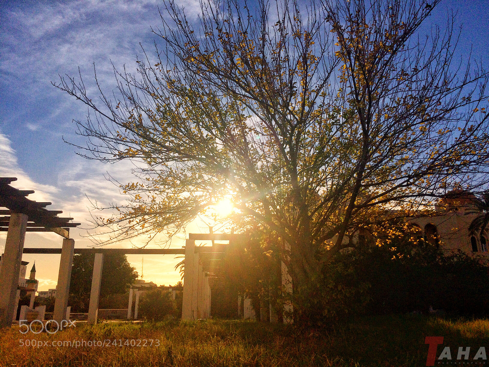 Apple iPhone 5s sample photo. ❤️ photography