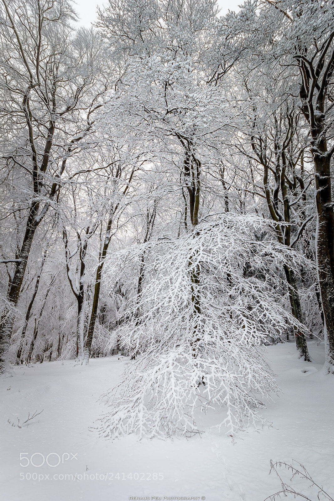 Canon EOS 60D sample photo. Fine art of taunus photography