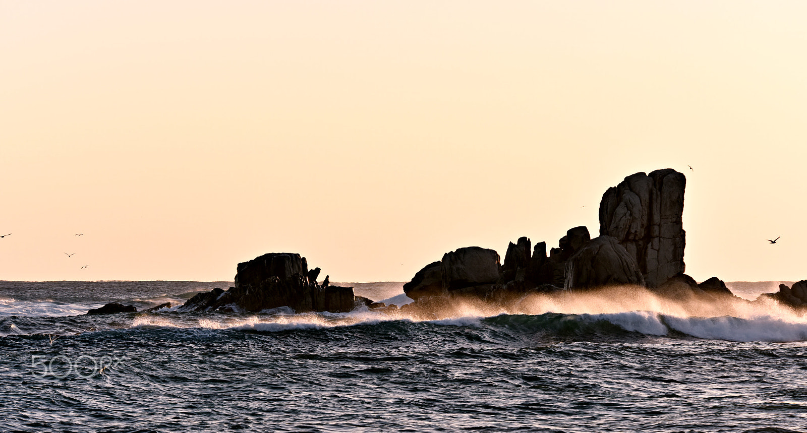 Nikon D810 sample photo. Waves photography