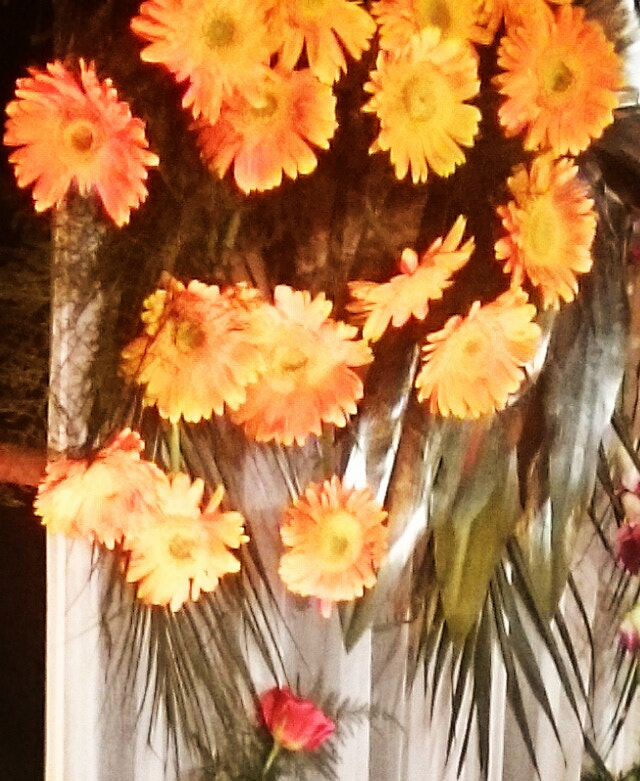 Sony Xperia Z Ultra sample photo. Yellow flowers photography