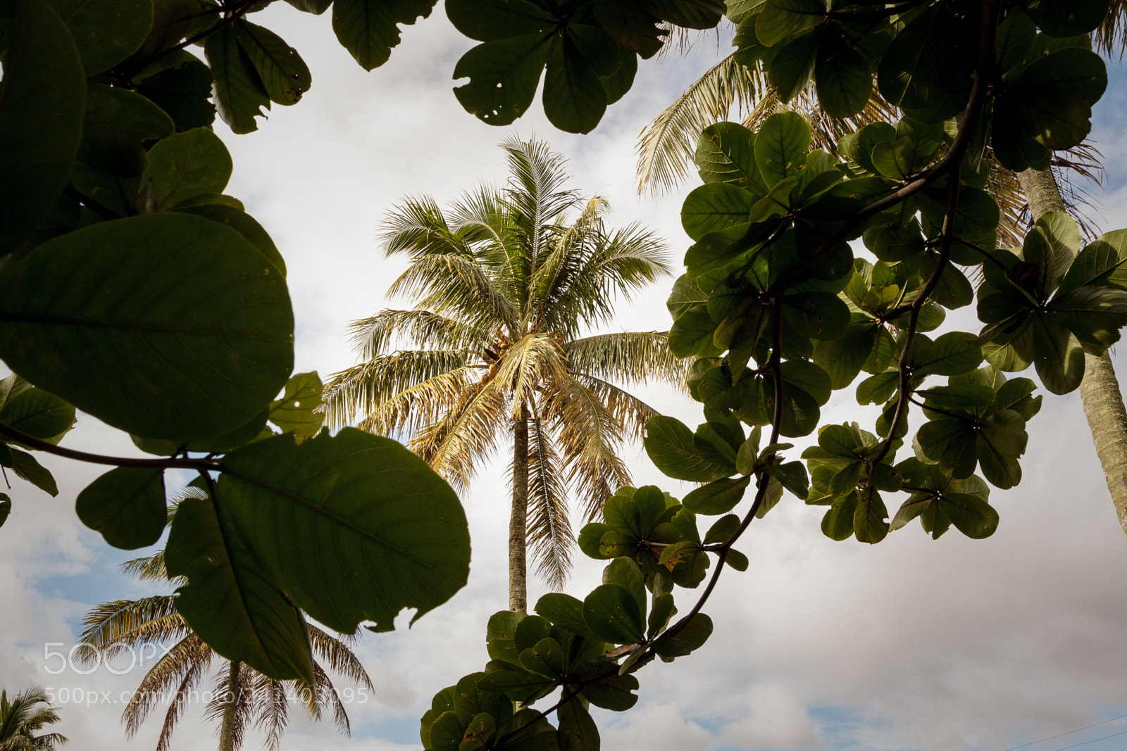 Canon EOS-1D Mark IV sample photo. Madagascar photography