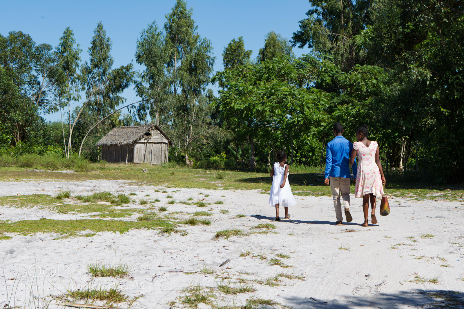 Canon EOS-1D Mark IV sample photo. Madagascar photography