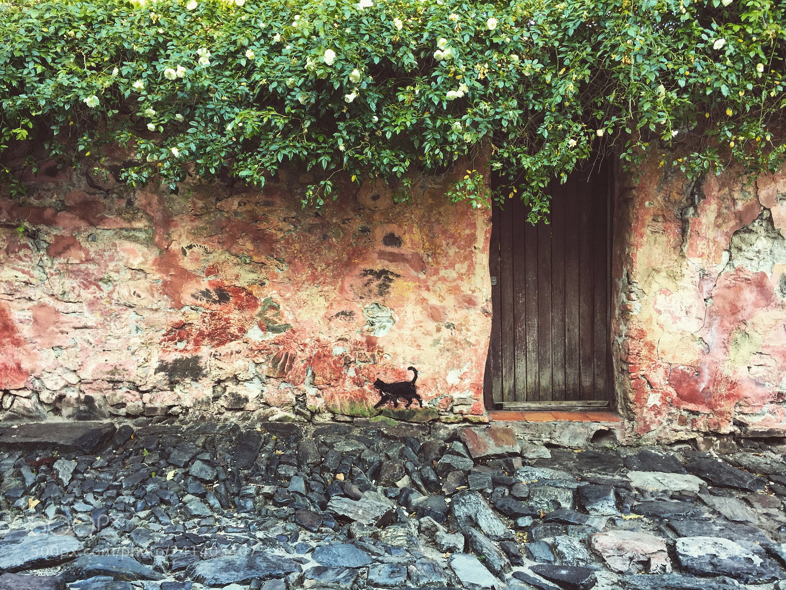 Apple iPhone 6 sample photo. "puerta de colonia ii" photography