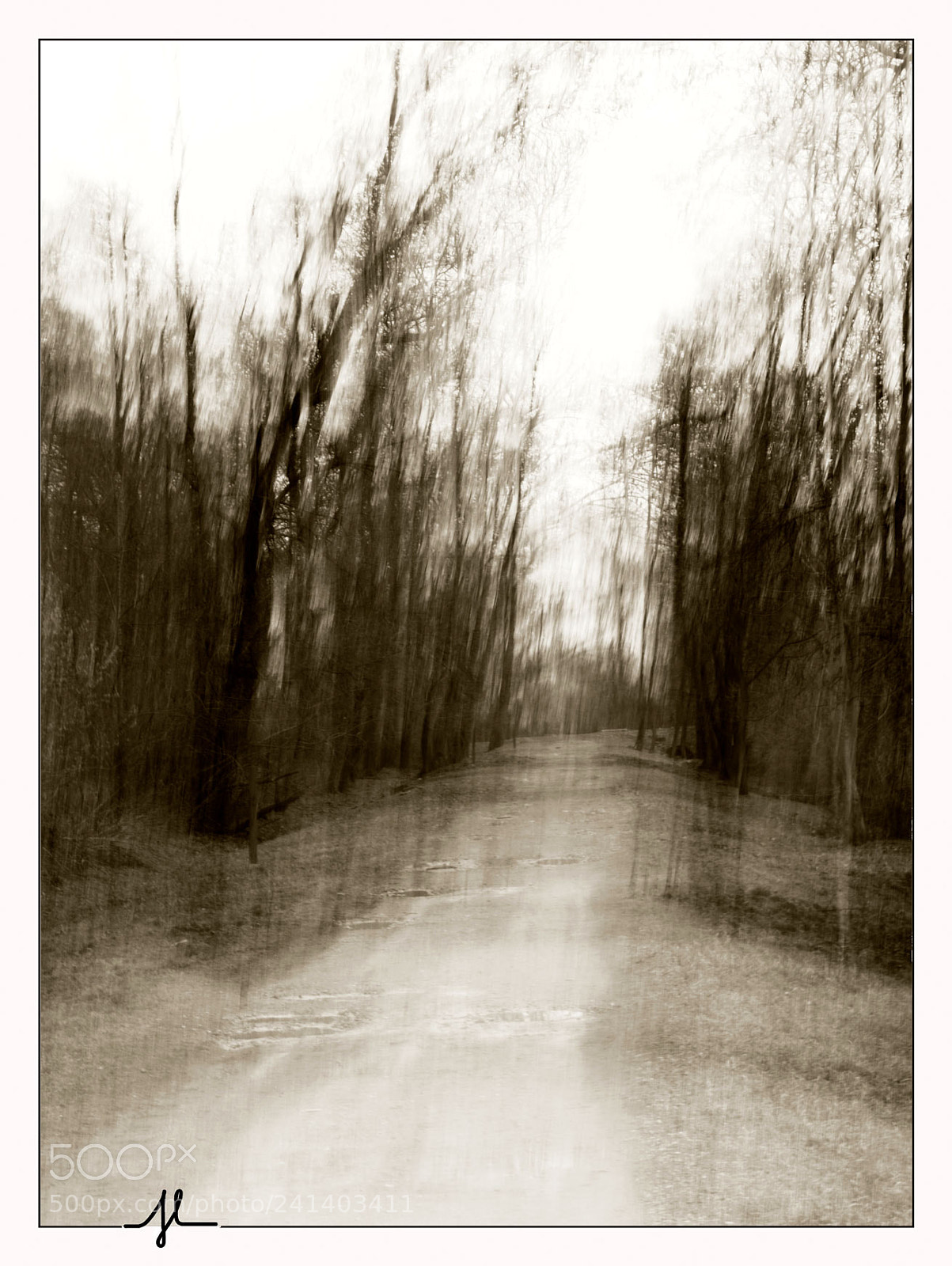 Canon EOS 50D sample photo. Impression hiver...... photography