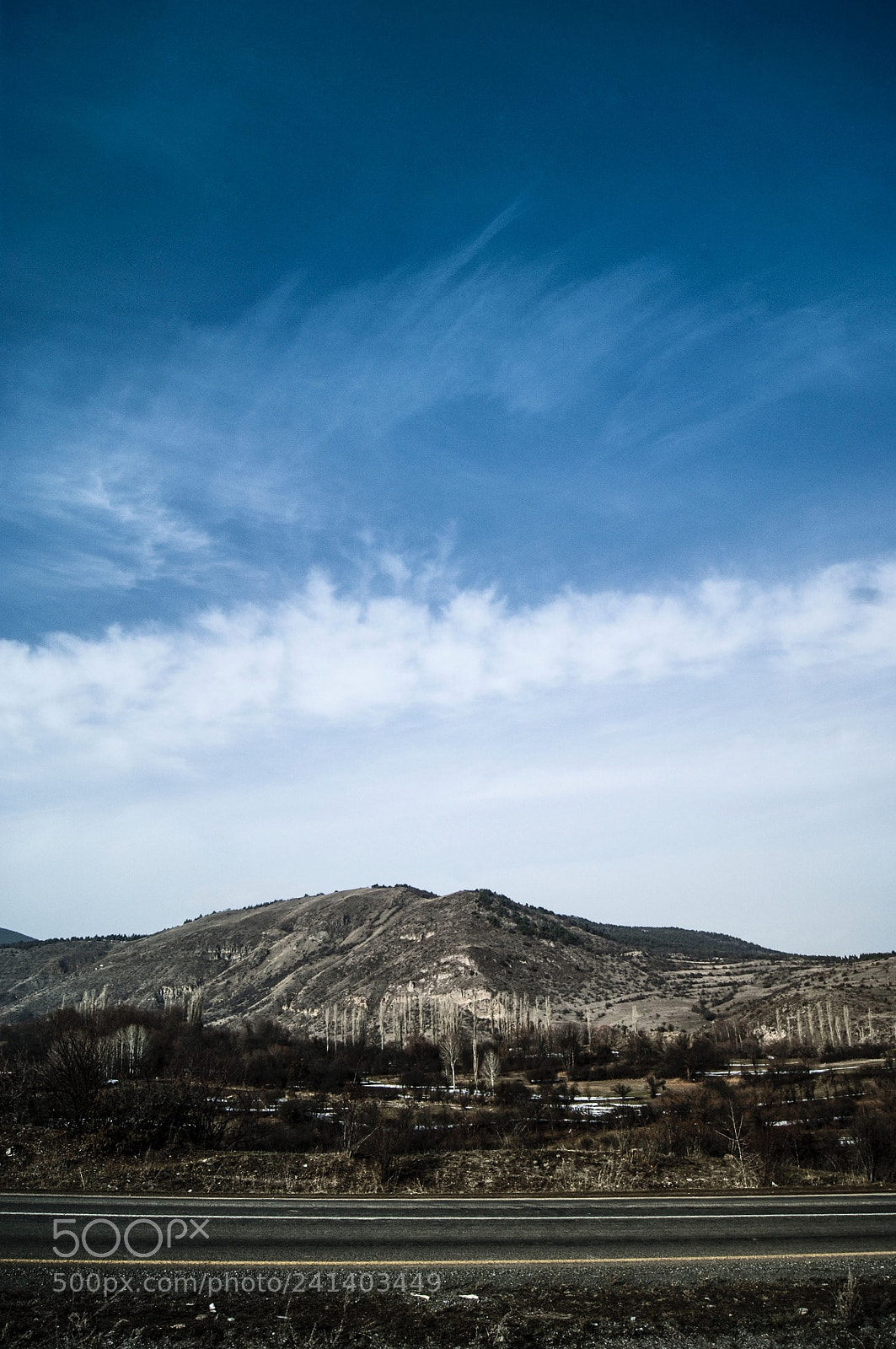 Sony Alpha DSLR-A390 sample photo. Freedom in the sky.. photography