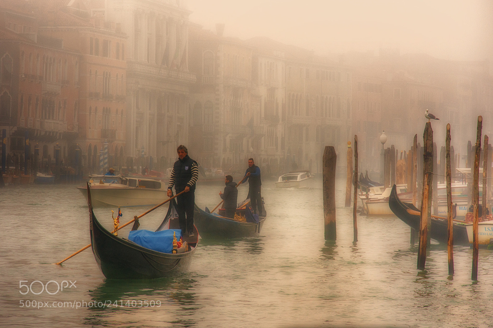Nikon D7200 sample photo. Gondolas in venice photography