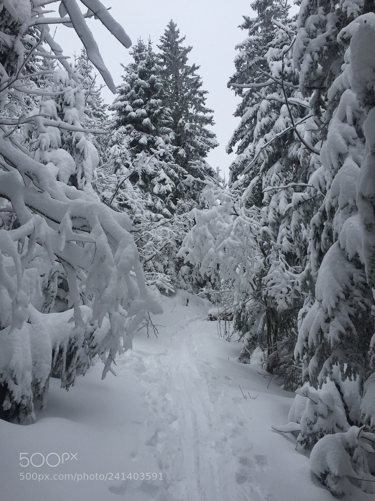 Apple iPhone 6 sample photo. Jura dec 2017 first snow photography