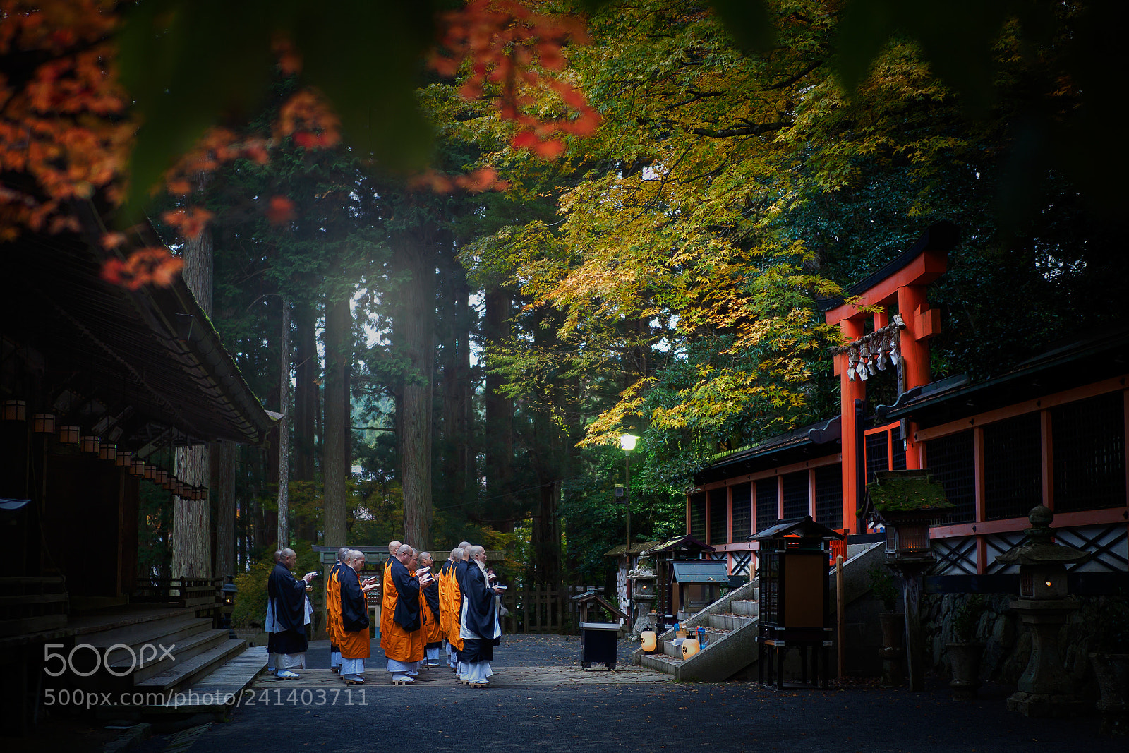 Olympus OM-D E-M5 II sample photo. Koya-san photography