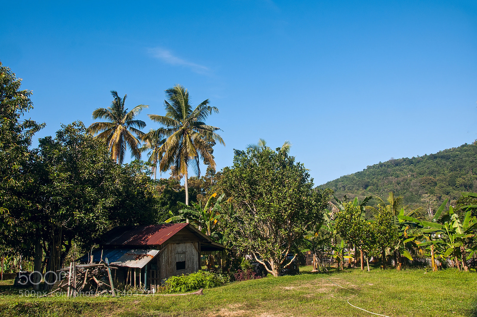 Nikon D90 sample photo. Beautiful scenery hometown with photography