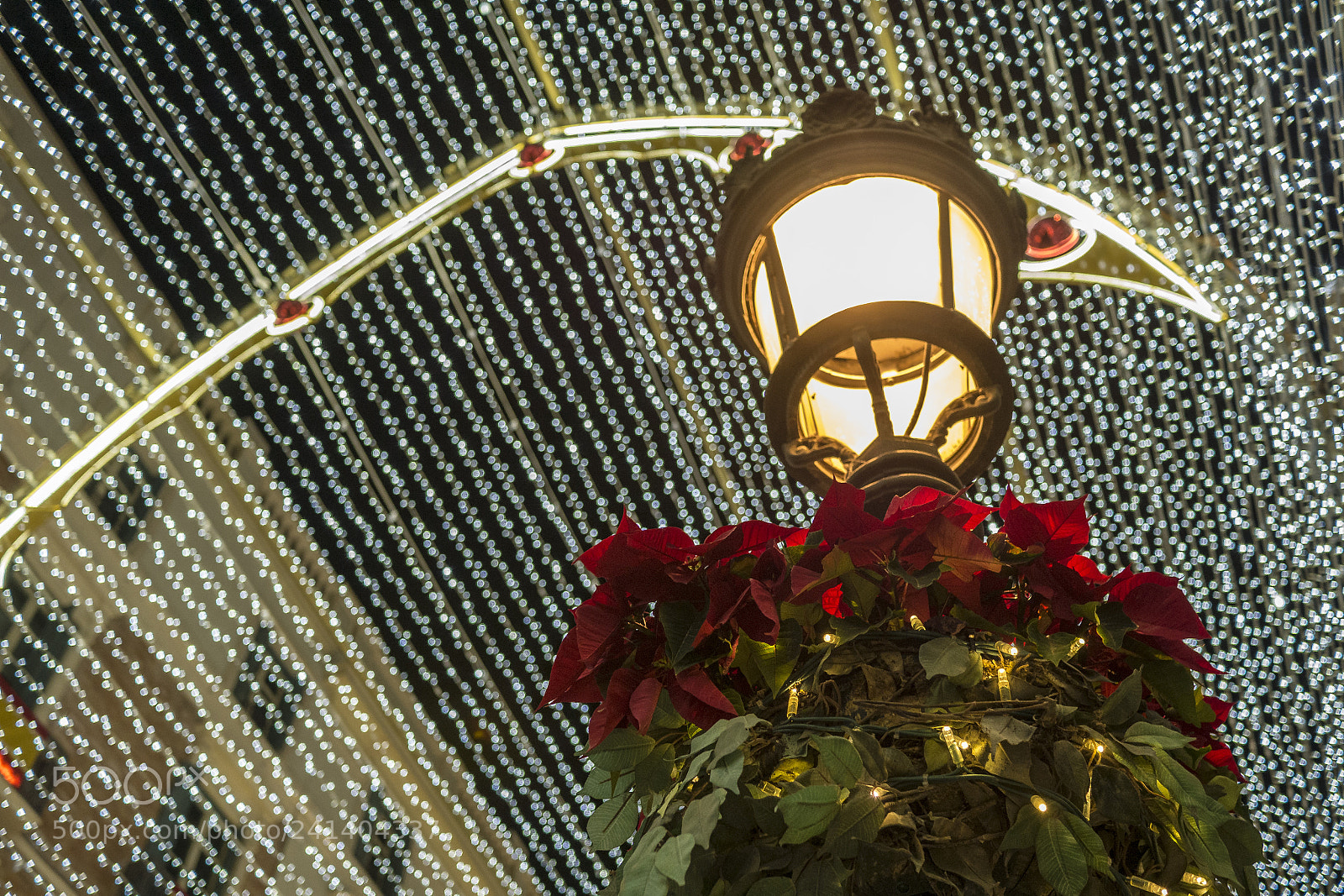Panasonic Lumix DMC-GX7 sample photo. Malaga bokeh photography