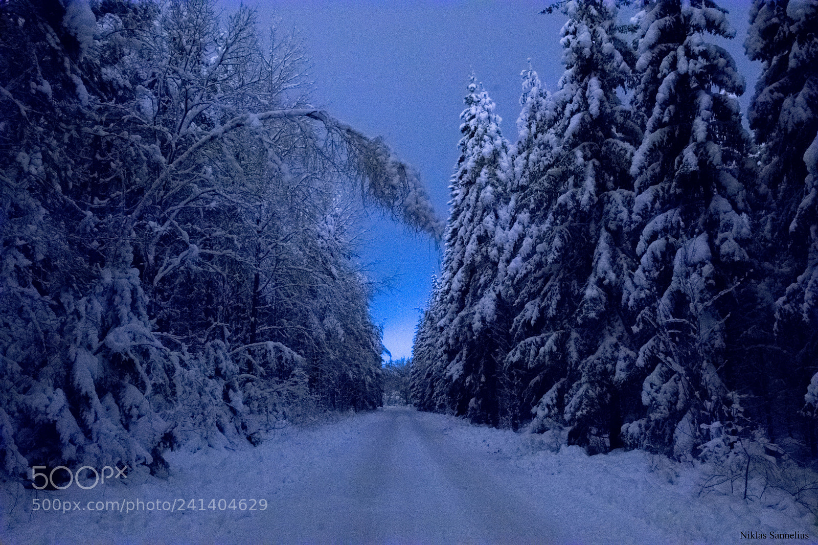 Nikon D3400 sample photo. En h rlig vinter photography