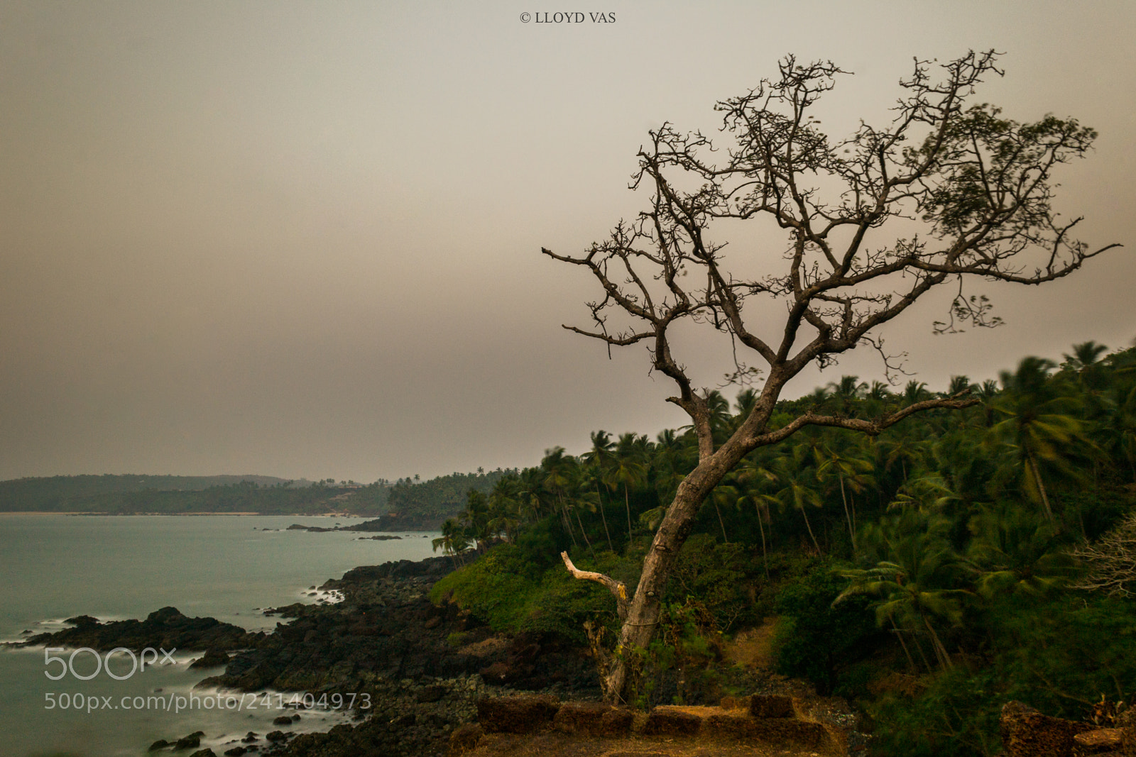 Nikon D3100 sample photo. Not as lucky as photography