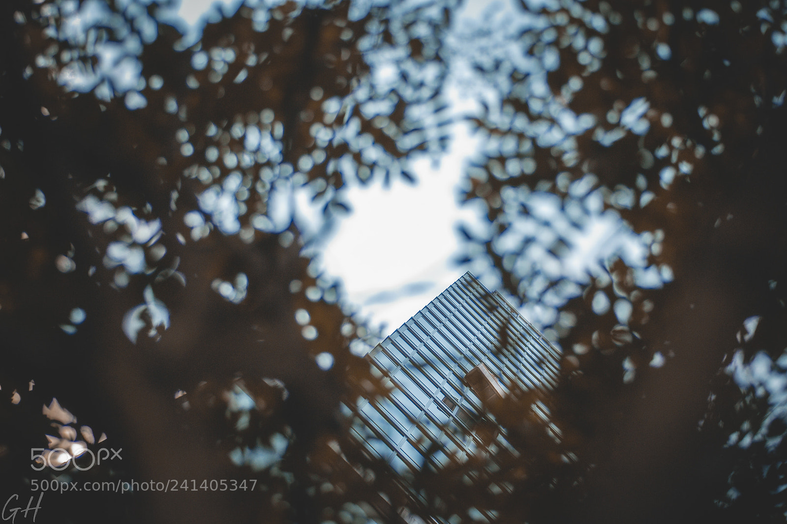 Nikon D3100 sample photo. New york photography