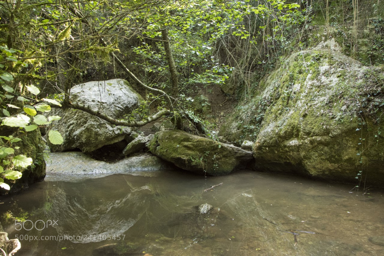 Nikon D7200 sample photo. Riera aiguafreda1 photography