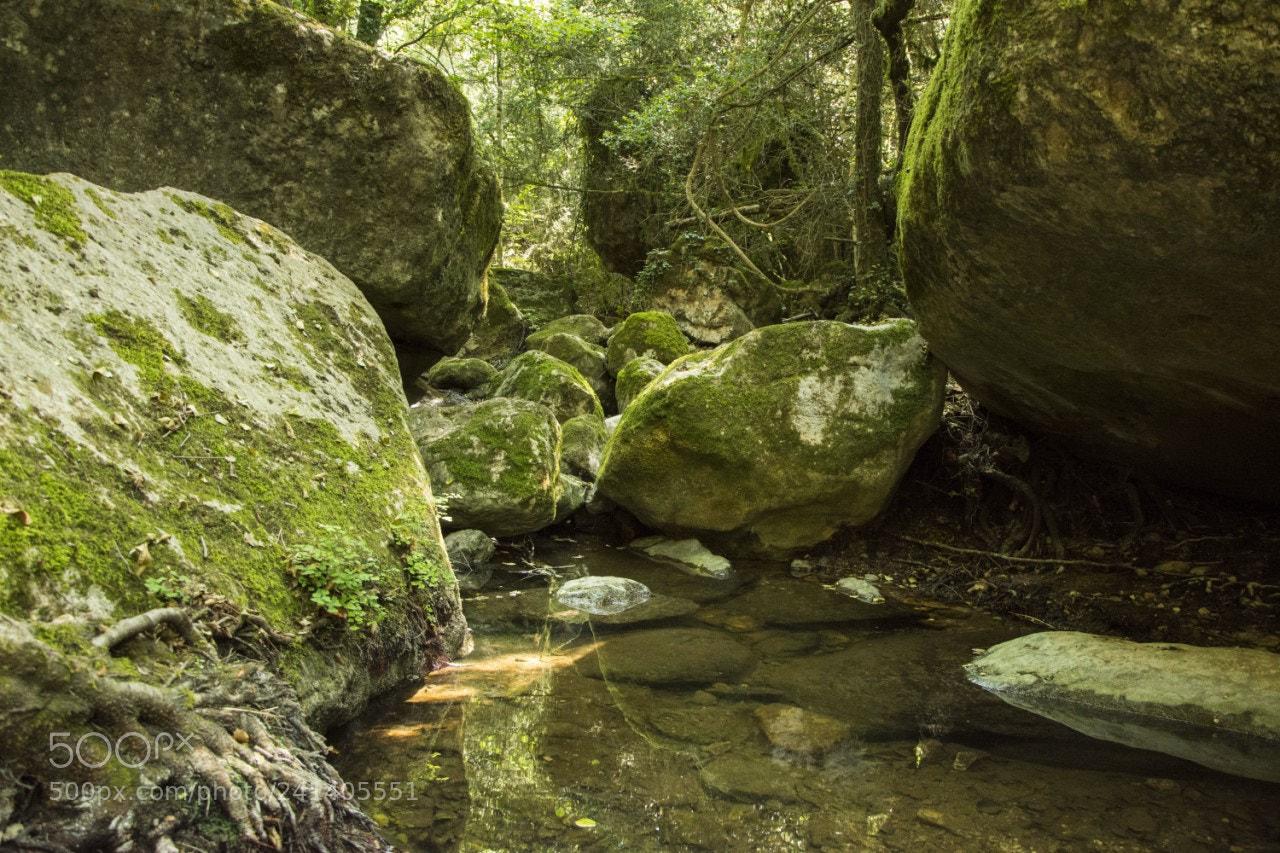 Nikon D7200 sample photo. Riera aiguafreda2 photography