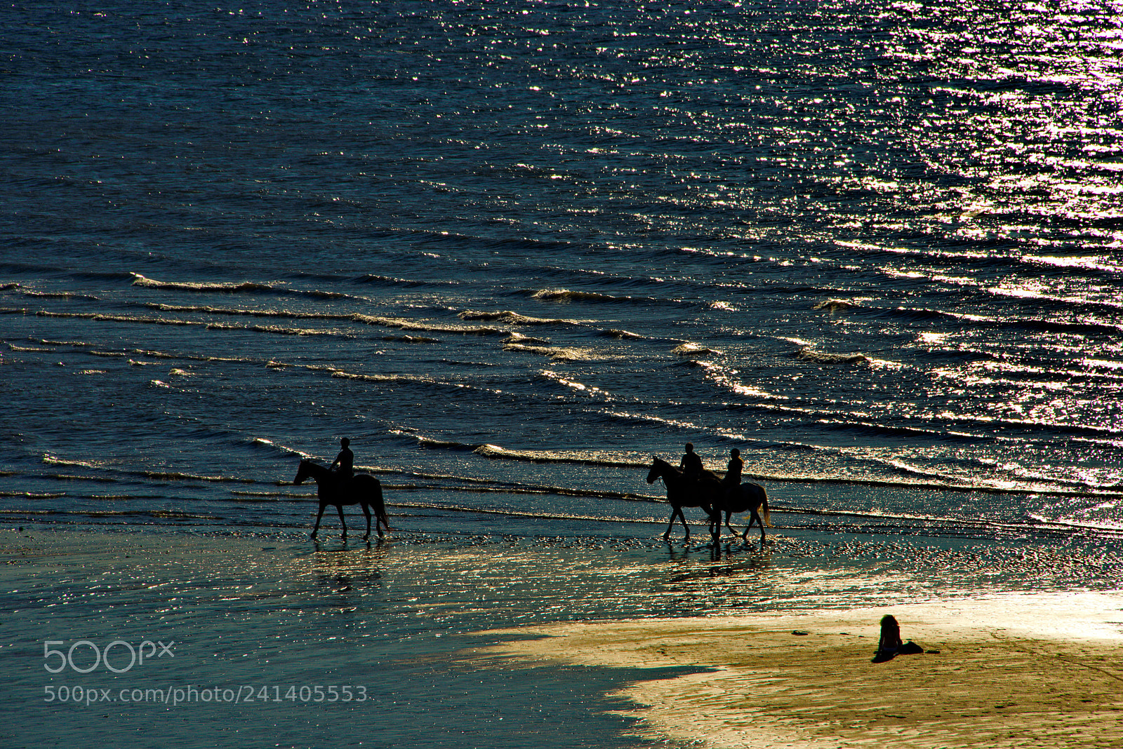 Nikon D800 sample photo. Backlight on horse walk photography