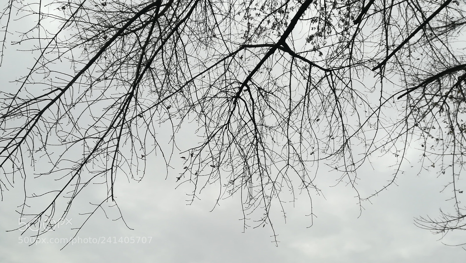 HUAWEI PRA-LX1 sample photo. Storie al contrario photography
