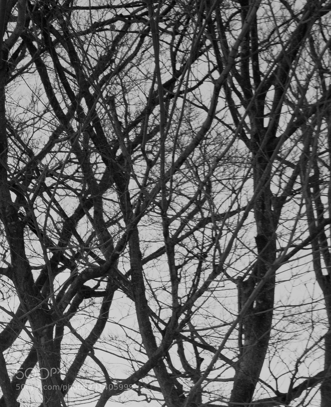 Fujifilm X-Pro2 sample photo. Anxiety photography