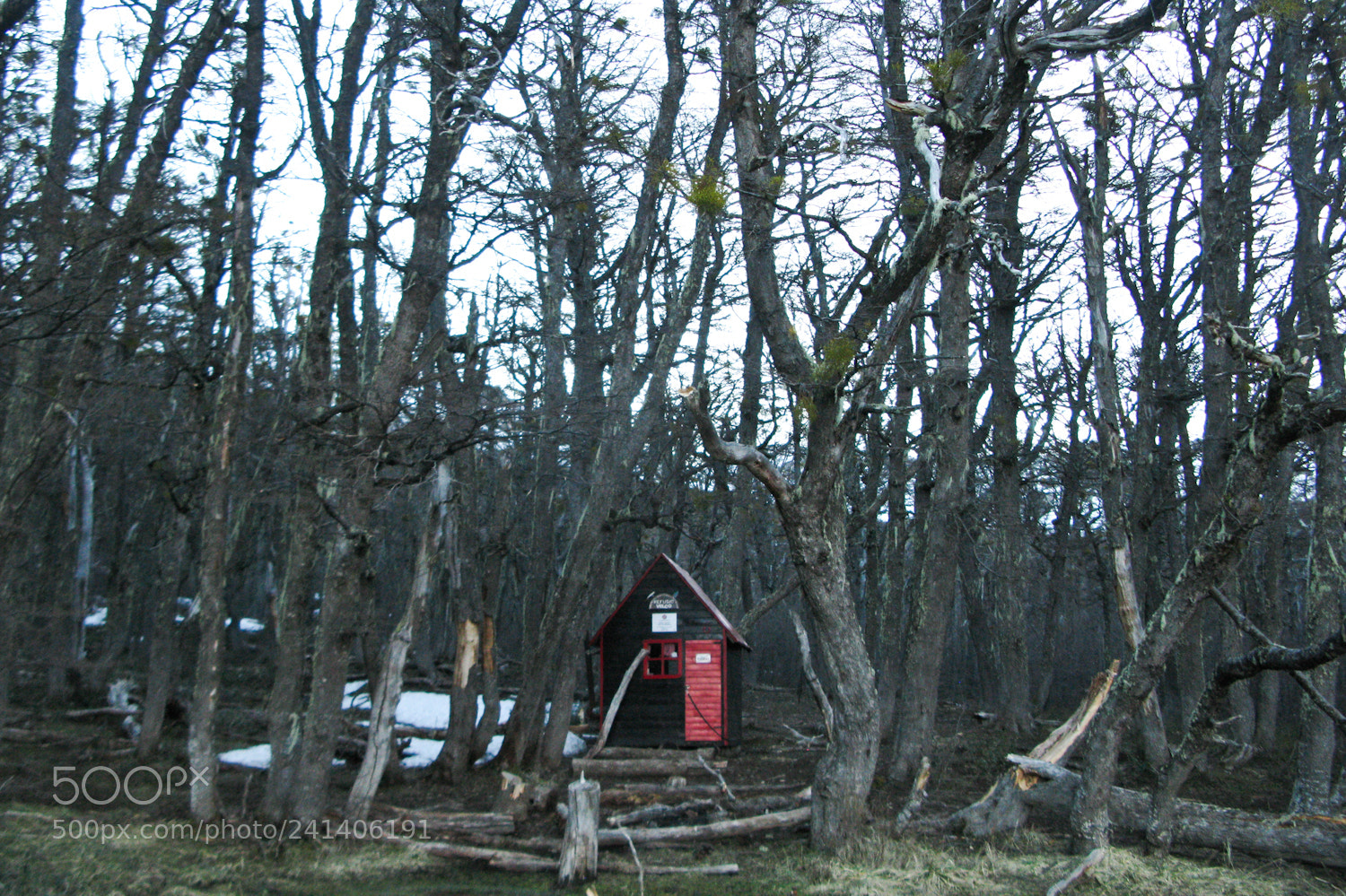 Canon POWERSHOT G9 sample photo. Hut in the woods photography