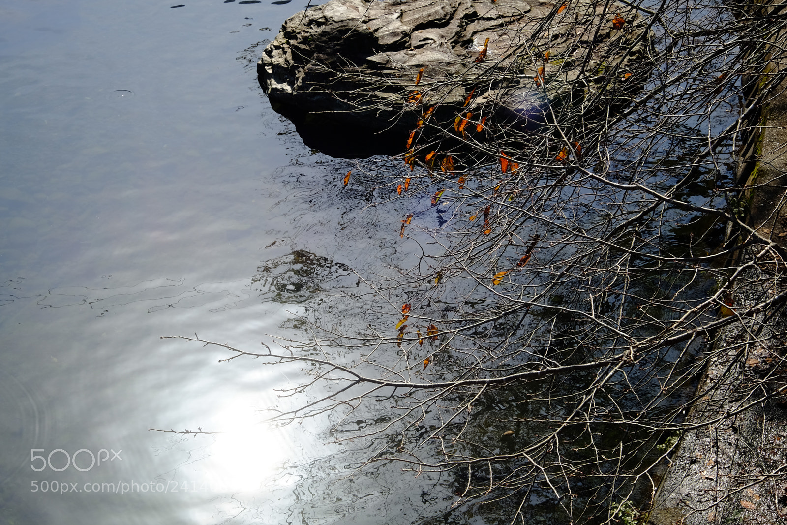 Fujifilm X-T10 sample photo. Son photography