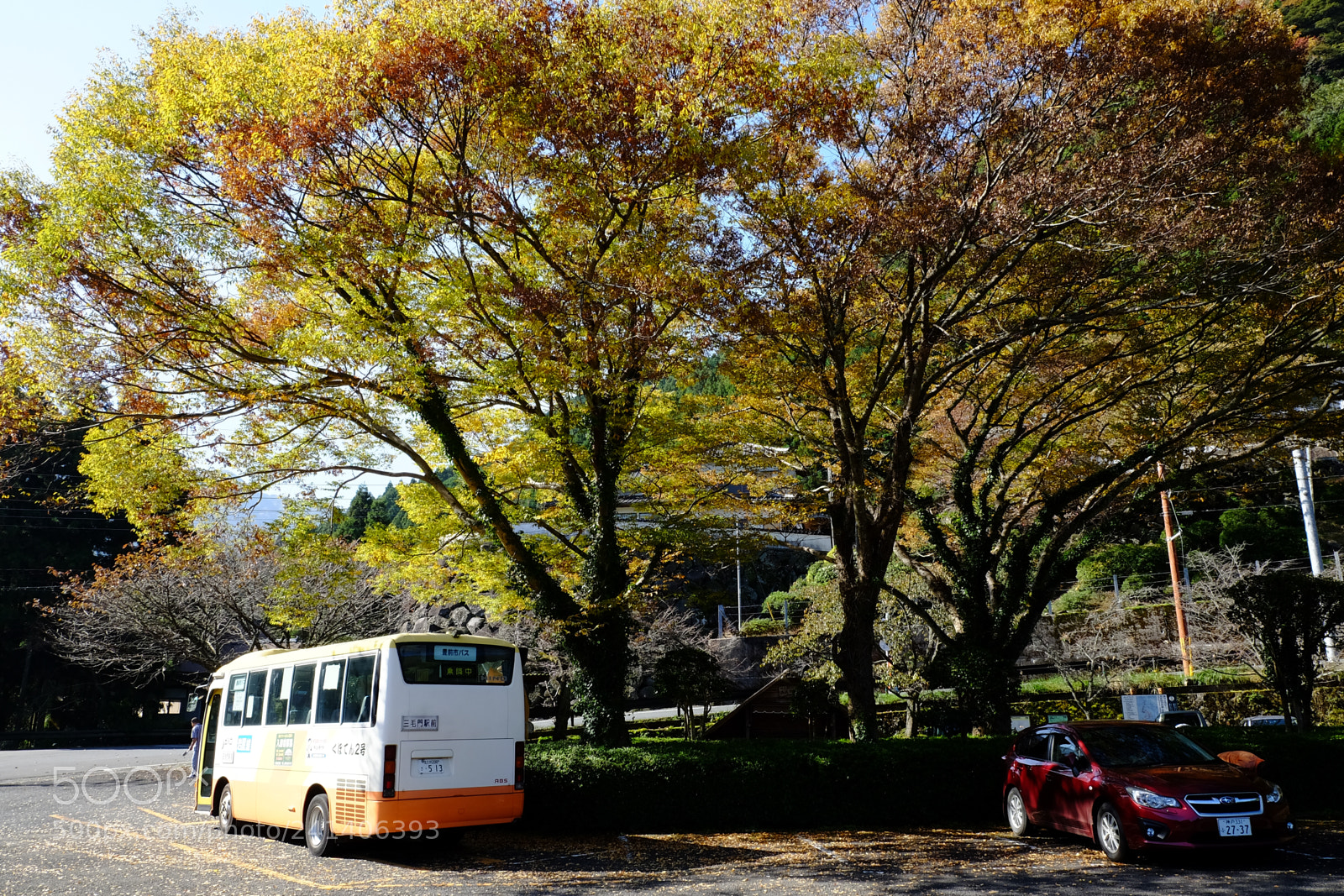Fujifilm X-T10 sample photo. Son photography