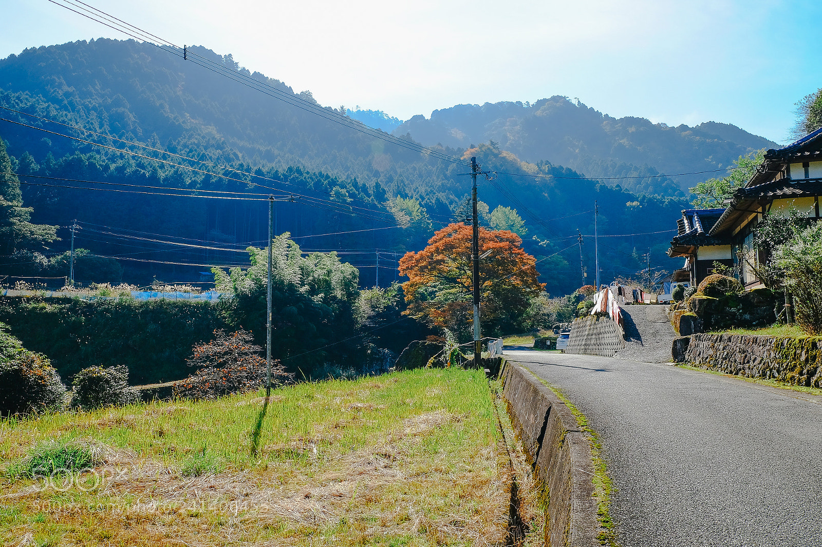 Fujifilm X-T10 sample photo. Son photography
