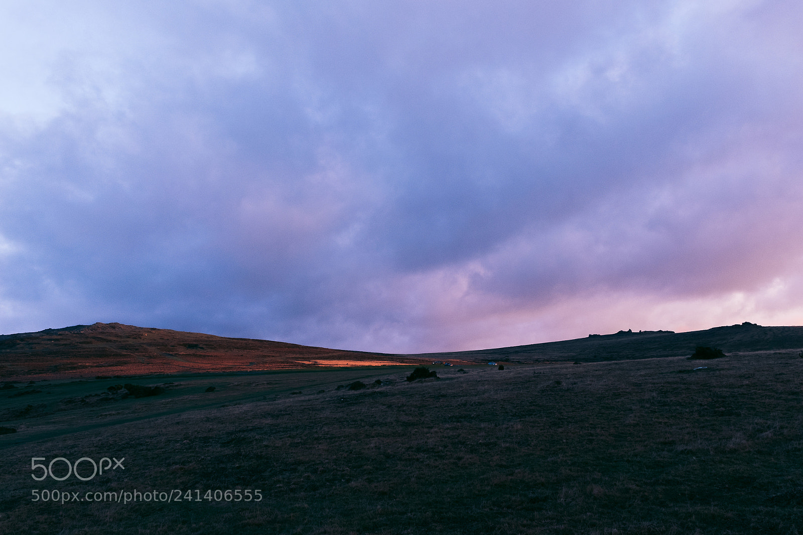 Fujifilm X-T10 sample photo. Purp walk photography
