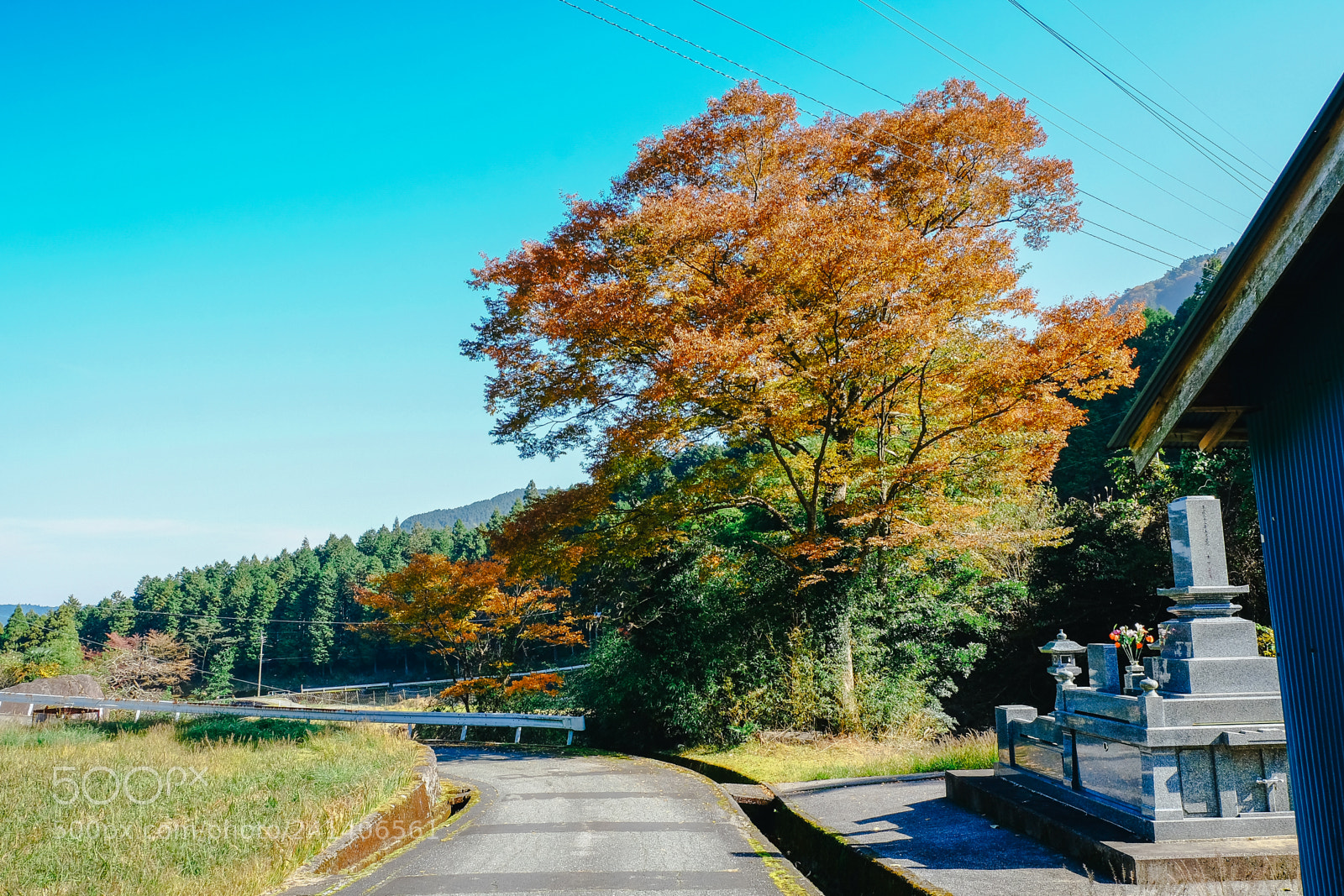 Fujifilm X-T10 sample photo. Son photography