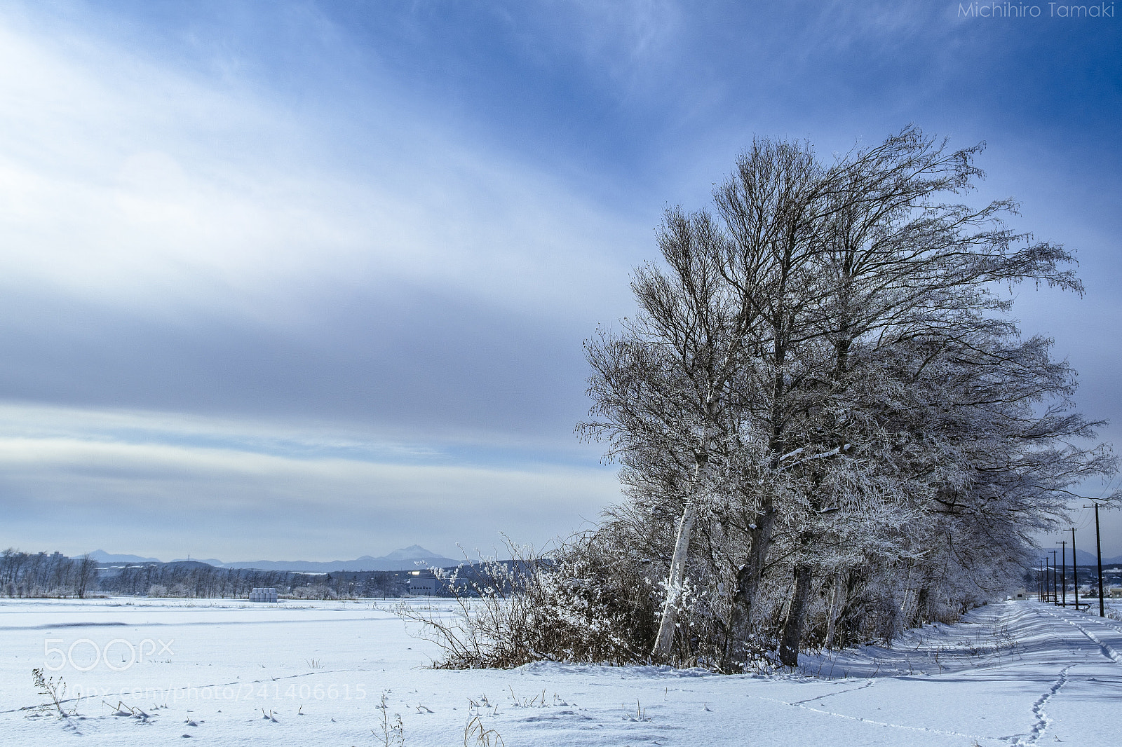 Fujifilm X-E1 sample photo. Work of the windbreak photography