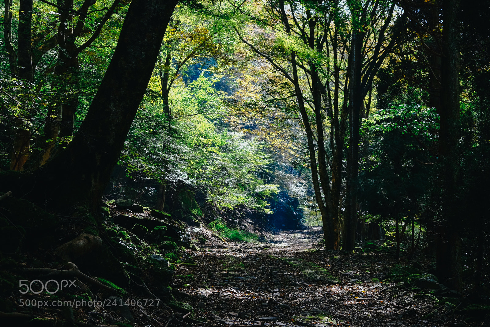 Fujifilm X-T10 sample photo. Son photography