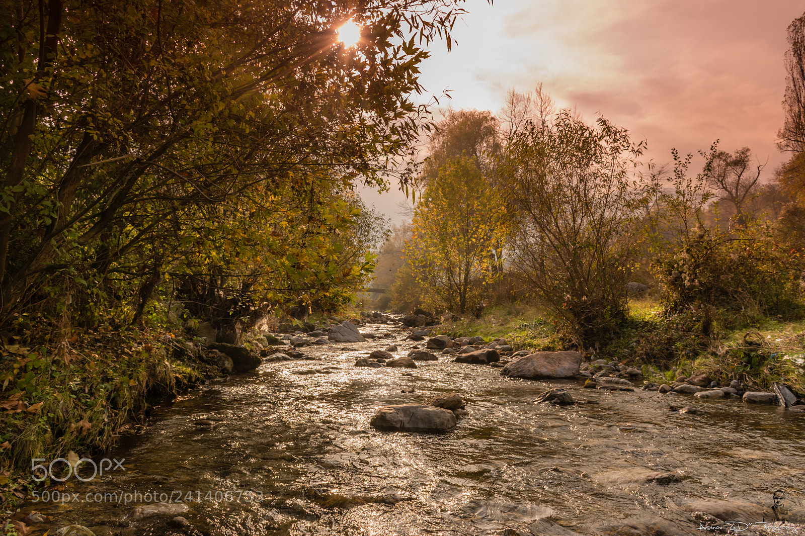 Nikon D5500 sample photo. River and sun photography