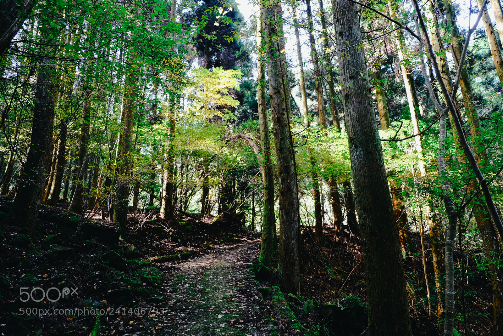 Fujifilm X-T10 sample photo. Son photography