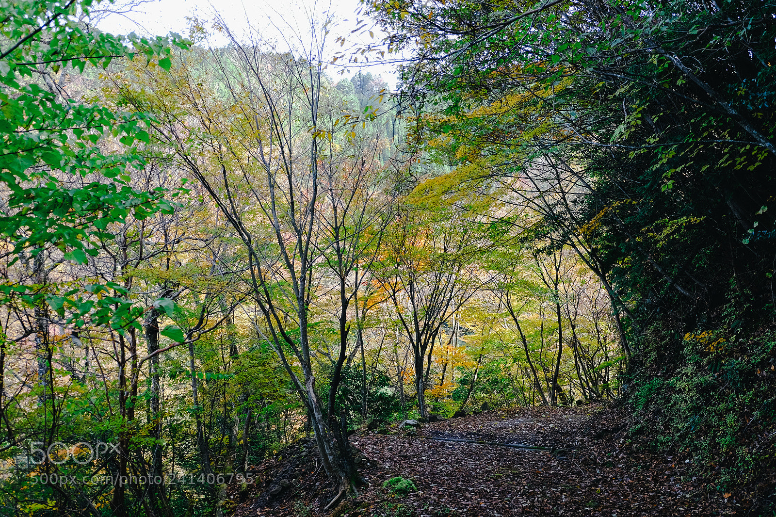 Fujifilm X-T10 sample photo. Son photography